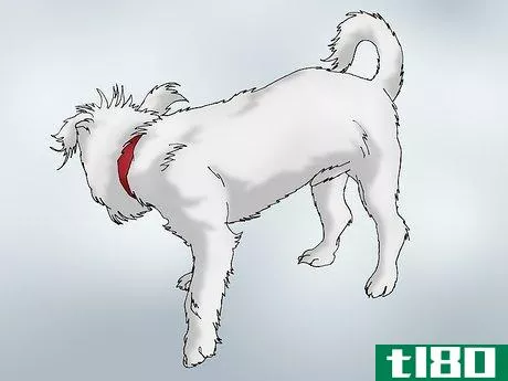 Image titled Recognize Signs of Hip Dysplasia in Dogs Step 12