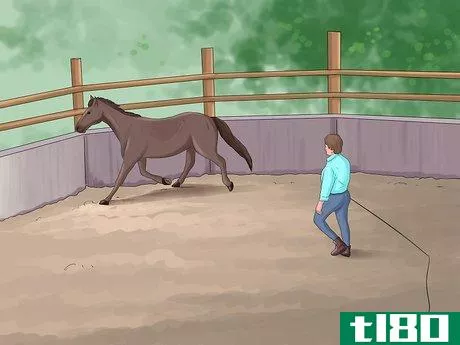 Image titled Join Up With a Horse Step 8