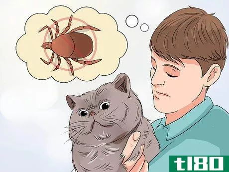 Image titled Recognize Lyme Disease Symptoms Step 9
