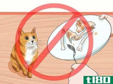 Image titled Protect Your Cat from Holiday Hazards Step 2