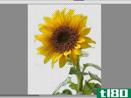Image titled Remove Background With Photoshop Elements Step 17