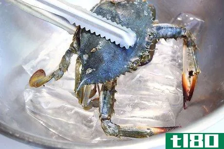 Image titled Boil Blue Crab Step 2