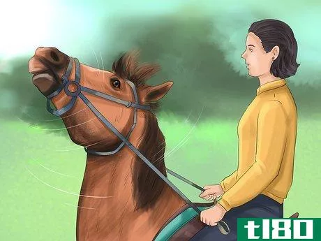 Image titled Understand Horse Communication Step 7