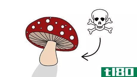 Image titled Pick Mushrooms Step 24