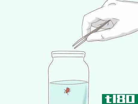 Image titled Remove Ticks from Furry Pets Step 7