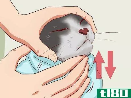Image titled Open a Cat's Mouth Step 8