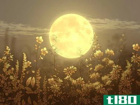 Image titled What Does the Harvest Moon Mean in Astrology Step 2