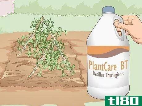 Image titled Use Organic Pesticides for Gardening Step 4
