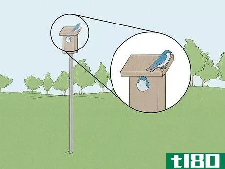 Image titled Attract Tree Swallows Step 10