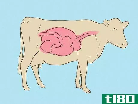 Image titled Avoid Mad Cow Disease Step 2