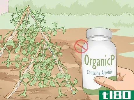 Image titled Use Organic Pesticides for Gardening Step 7