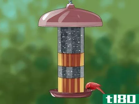 Image titled Use a Backyard Bird Feeder Step 2