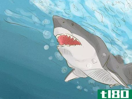 Image titled Avoid Sharks Step 11