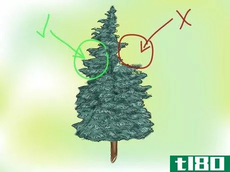 Image titled Set Up a Christmas Tree Step 3