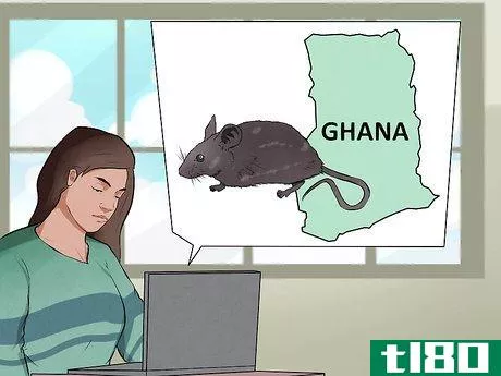 Image titled Avoid Lassa Fever Step 7