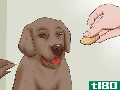 Image titled Trim a Dog's Nails Step 10