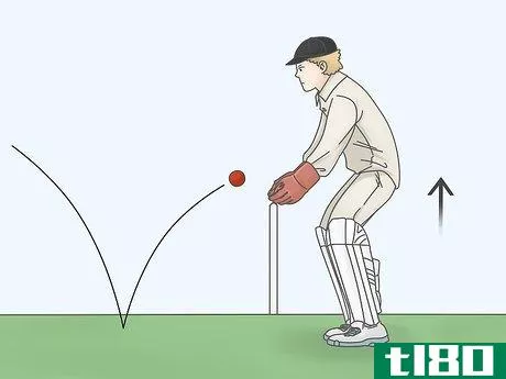 Image titled Be a Good Wicketkeeper Step 3