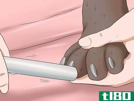 Image titled Trim a Dog's Nails Step 11