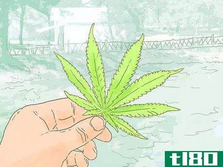 Image titled Advertise a Marijuana Business Online Step 13