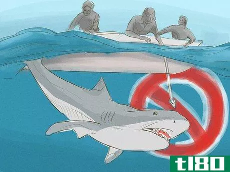Image titled Avoid Sharks Step 15