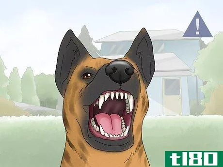 Image titled Use a Muzzle to Correct Nipping in Dogs Step 9