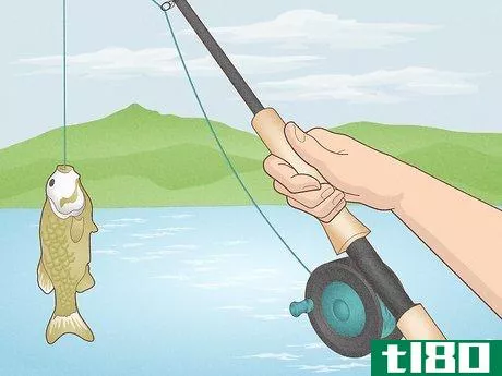 Image titled Use a Fishing Rod Step 25