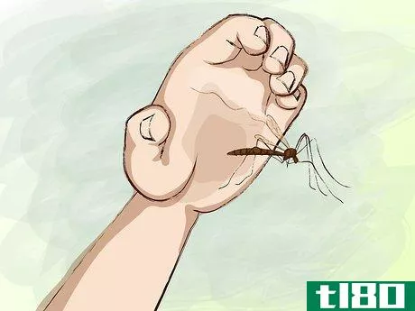 Image titled Avoid Mosquito Bites Step 1