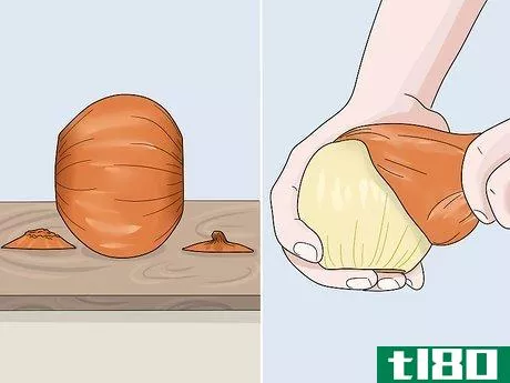 Image titled Apply Onion on Hair Step 2