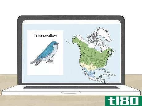 Image titled Attract Tree Swallows Step 1