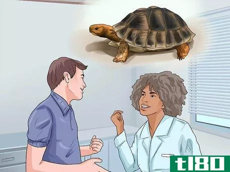 Image titled Sex Tortoises Step 13