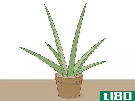 Image titled Use Aloe Juice As an Astringent Step 11