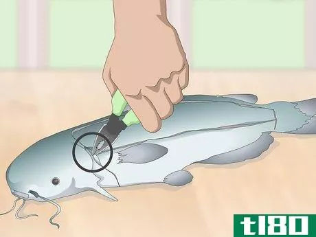 Image titled Skin and Clean Catfish Step 5