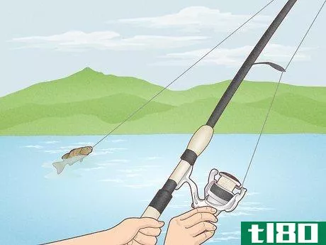 Image titled Use a Fishing Rod Step 5