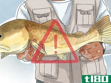 Image titled Unhook a Fish Step 12