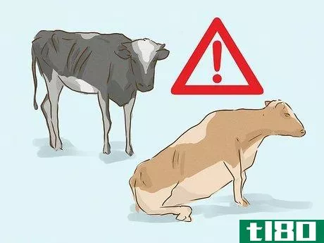 Image titled Avoid Mad Cow Disease Step 4