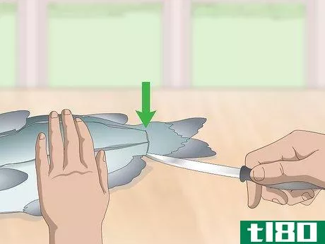 Image titled Skin and Clean Catfish Step 4