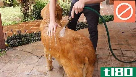 Image titled Wash a Dog Step 1
