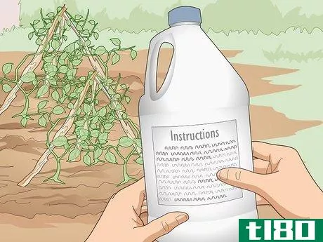 Image titled Use Organic Pesticides for Gardening Step 8