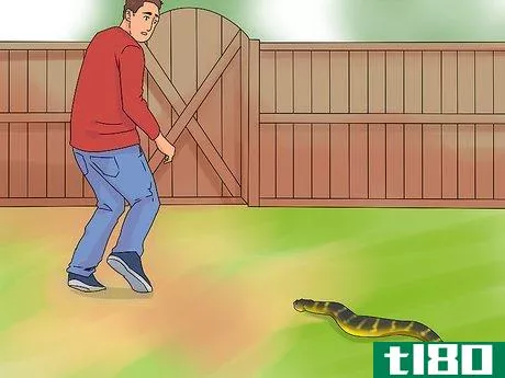 Image titled Treat a Snake Bite Step 3
