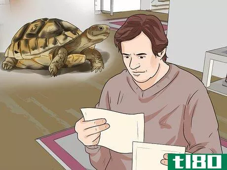 Image titled Sex Tortoises Step 10