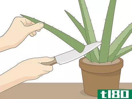 Image titled Use Aloe Juice As an Astringent Step 12