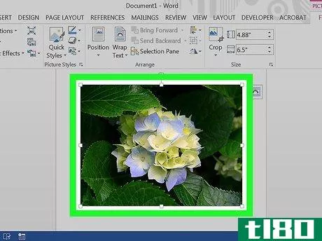 Image titled Anchor an Image in Word Step 4