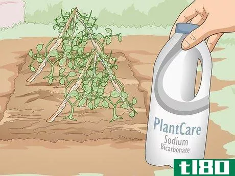 Image titled Use Organic Pesticides for Gardening Step 5