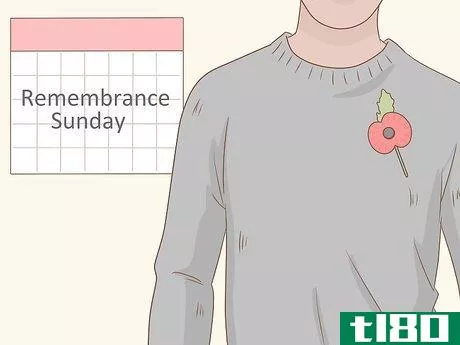 Image titled Wear a Remembrance Day Poppy (UK) Step 2
