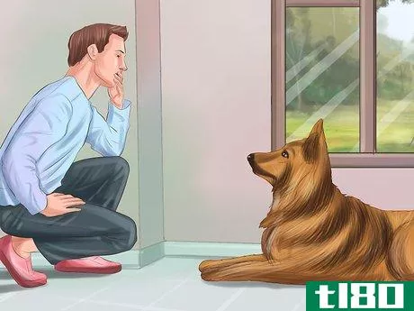 Image titled Train Your Service Dog Without a Professional Trainer Step 11