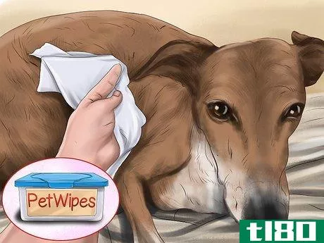 Image titled Use Dog Pheromone Products Step 5
