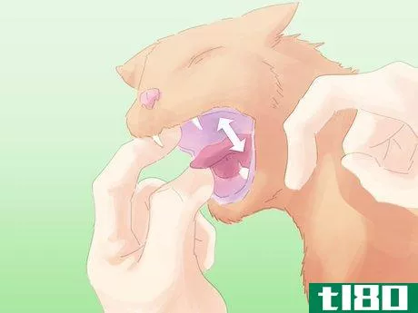 Image titled Save a Choking Cat Step 10