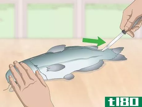 Image titled Skin and Clean Catfish Step 2