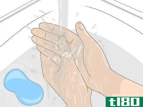 Image titled Avoid Elizabethkingia Infection Step 2