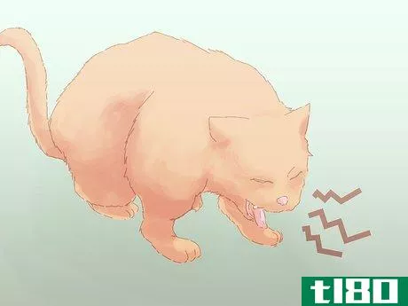 Image titled Save a Choking Cat Step 2